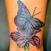 tattoo galleries/ - Butterfly Iris